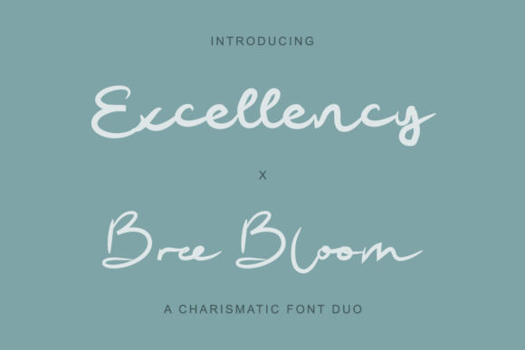 Excellency X Bree Bloom: A Designer’s Real-World Review