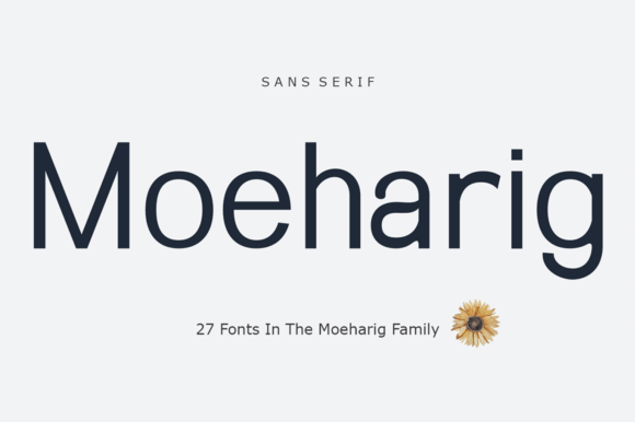 Moeharig: A Thoughtful Sans Serif for Editorial Calm