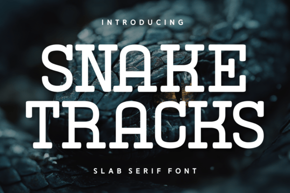 Snake Tracks: A Slab Serif with Bite
